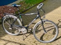 Fahrrad Winora Jamaica 28 Zoll L Nordrhein-Westfalen - Detmold Vorschau