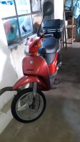 Vespa Piaggio Free Mofa /Moped 50ccm Nordrhein-Westfalen - Remscheid Vorschau