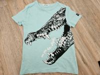 ❤️ H&M T-Shirt 134 140 Krokodil Alligator 100% Baumwolle Rheinland-Pfalz - Gundersheim Vorschau