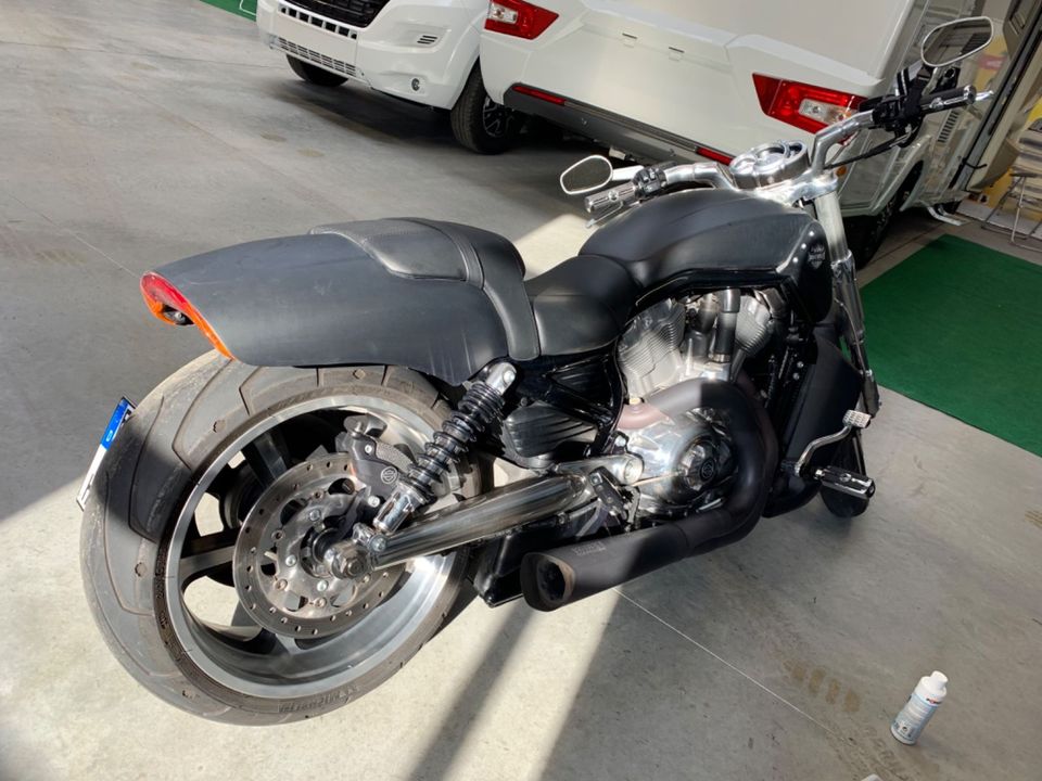 Harley-Davidson V-Rod Muscle in Schlema