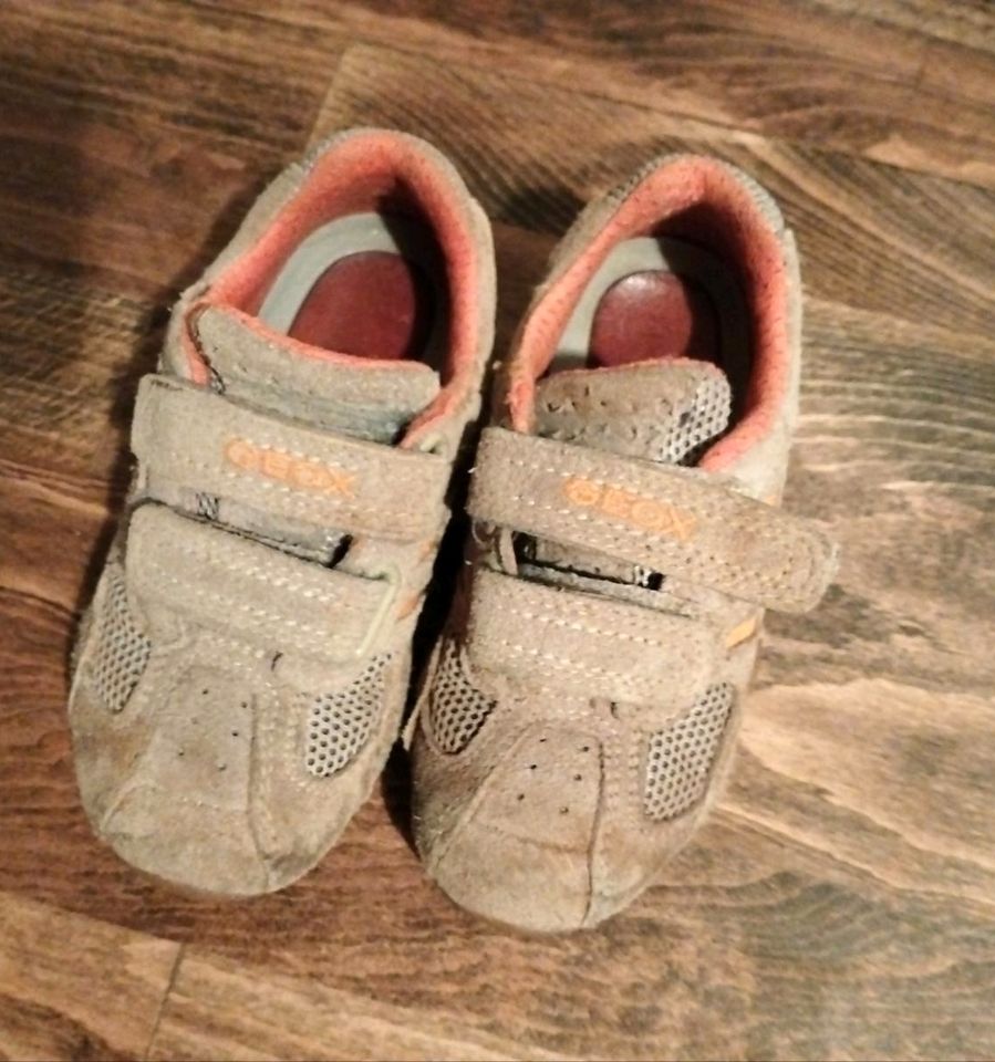 2 Paar Kinderschuhe gr. 25 Geox/FILA unisex Junge Mädchen in Reichertshofen