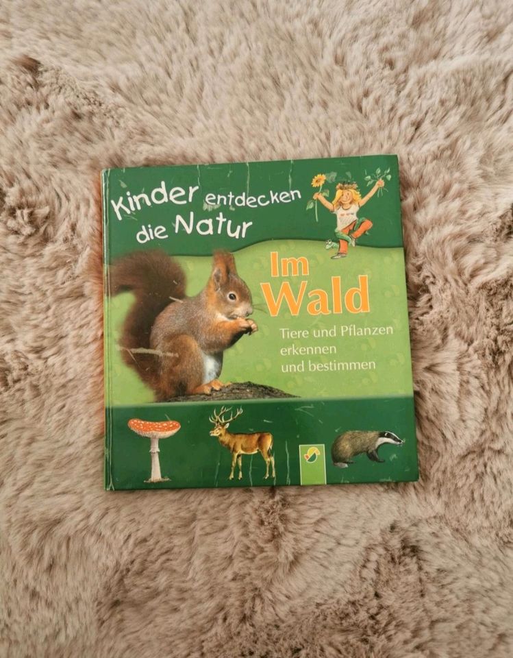 Kinder entdecken die Natur Buch Tiere Wald in Hösbach