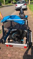 Hundeanhänger fürs Fahrrad ( Doggy Tourer ) Modell L Baden-Württemberg - Keltern Vorschau