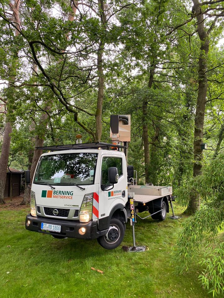 EPS Entfernung Eichenprozessionsspinner Bekämpfung in Saerbeck