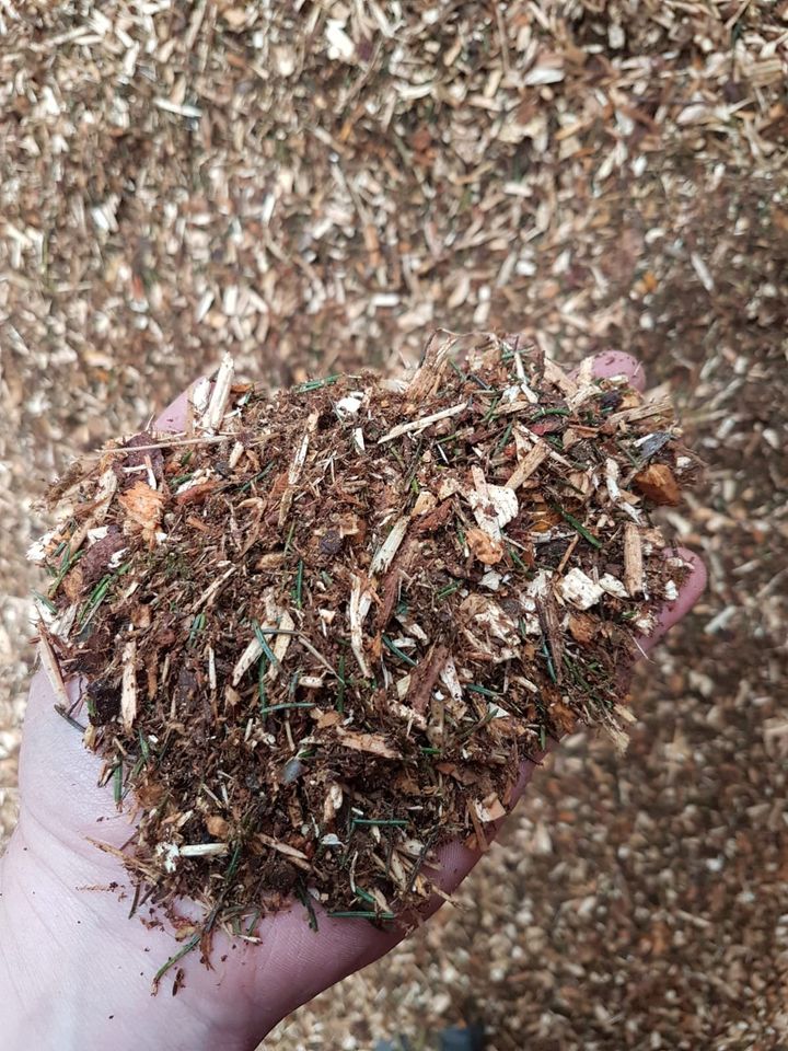 Waldboden Pferde Einstreu BIO Fichten Nadeln Naturboden Offenstal in Kempten