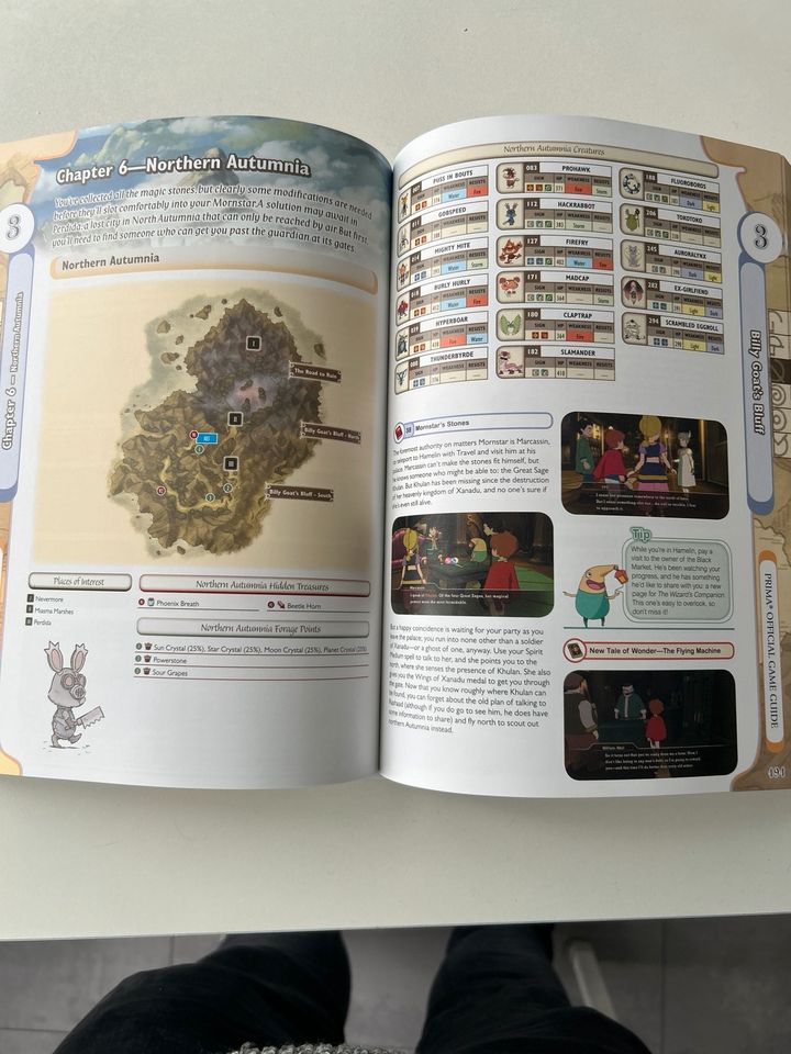 Ni No Kuni Gameguide Lösungsbuch in Lörrach