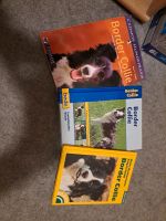 Border collie Bücher Bayern - Neustadt b.Coburg Vorschau