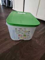 Tupperware Prima Klima, Klimaoase 4,4l Brandenburg - Herzfelde Vorschau