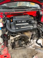 Golf 4 1.4 75ps Motor mit anbauteilen Thüringen - Bad Frankenhausen/Kyffhäuser Vorschau