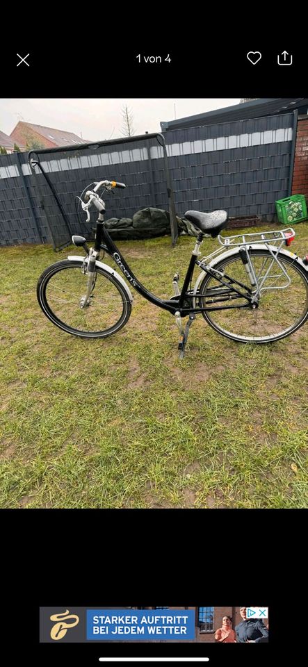 Fahrrad Herren in Kleve