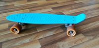 Ridge Skateboard Mini Big Brother 69 cm Sachsen - Radebeul Vorschau