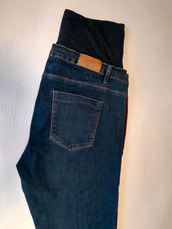 Mama Jeans Esprit Überbauchbund in Kayhude