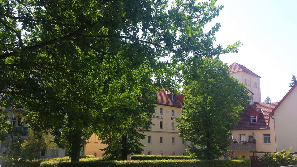 Schöne 4-Raum-Wohnung mit Dachterrasse in der König-Albert-Mühle in Großenhain