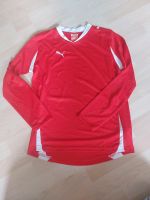 Puma Trainings Shirt 152 Hessen - Pohlheim Vorschau