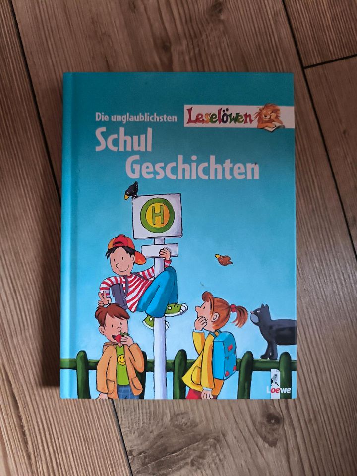 Buch Schulgeschichten von Leselöwen in Annahütte