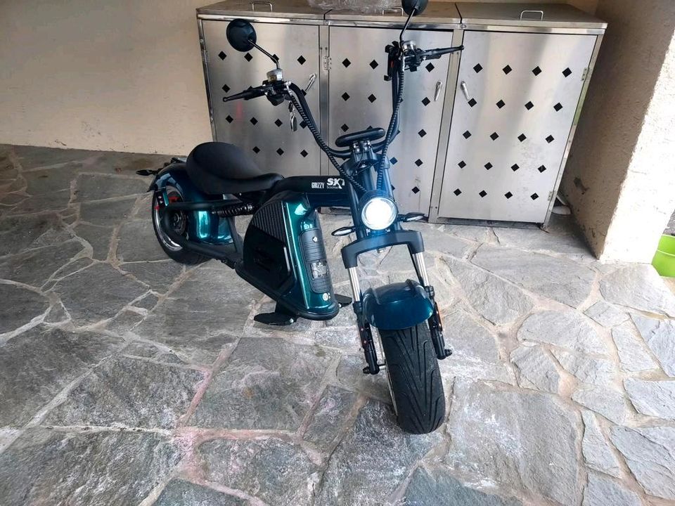 SXT Scooters E-Motorroller SXT Grizzy, 2700 W, 45 km/h in Bayern - Polling  | Motorroller & Scooter gebraucht | eBay Kleinanzeigen ist jetzt  Kleinanzeigen