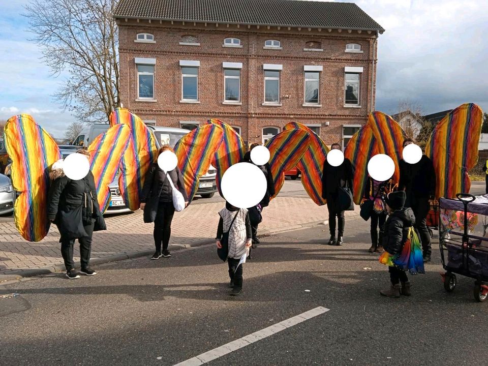 Gruppenkostüm Schmetterlinge Karneval in Eschweiler