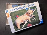 Ravensburger Puzzle 14179 - Golden Retriever - 500 Teile Eimsbüttel - Hamburg Schnelsen Vorschau