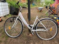 Damenrad zu verkaufen Brandenburg - Altlandsberg Vorschau