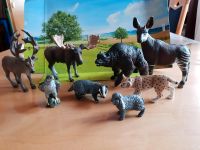 Schleich verschiedene Tiere Schleswig-Holstein - Hohn Vorschau