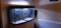 Fluval Aquarium mit gebogener Glasfront Sachsen - Grosshartmansdorf Vorschau