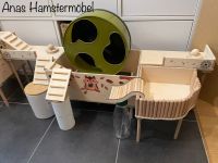 Hamster mit Terrarium und Zubehör Nordrhein-Westfalen - Euskirchen Vorschau