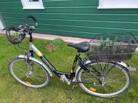 Fahrrad 28 nur Abholung Schleswig-Holstein - Elpersbüttel Vorschau