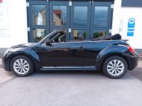 VW Beetle 2,0 TDI Cabrio Design Navi SHZG PDC Windschott Hessen - Ehringshausen Vorschau