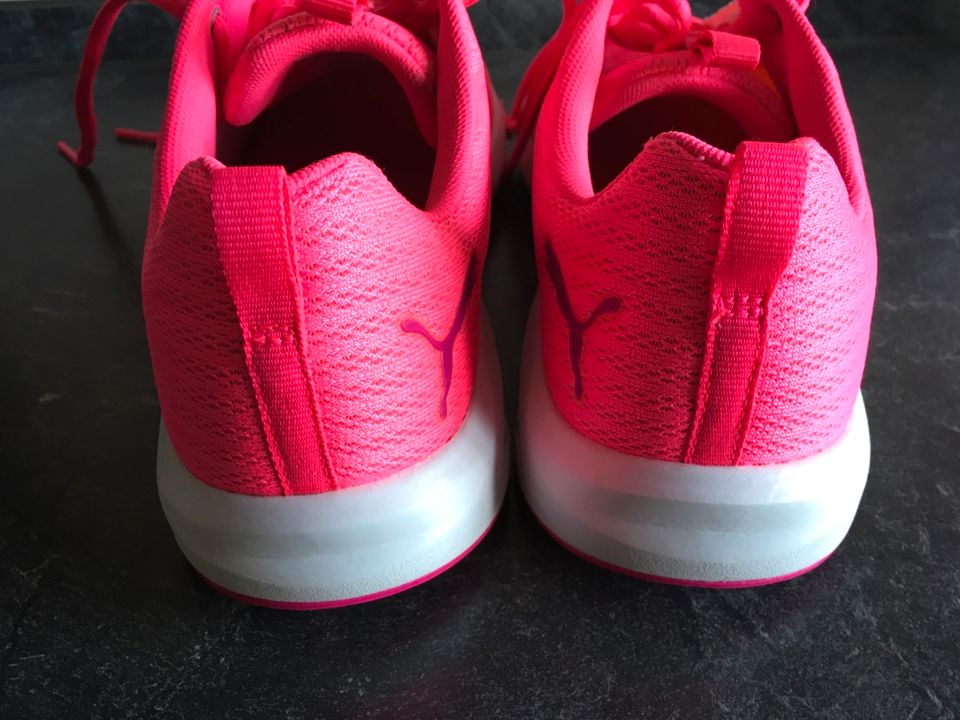 Puma Hallenschuhe pink Gr. 40, Sehr guter Zustand! in Duisburg