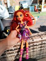 Monster High Freak du chic Toralai stripe Niedersachsen - Ostercappeln Vorschau