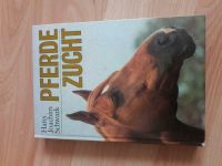 Pferde Zucht Buch aus der DDR Sachsen - Königshain bei Görlitz Vorschau