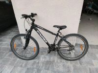 Dynamics Helium Mountainbike Bayern - Arnstorf Vorschau