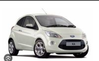 Ford Ka Baujahr 2011 Teile Beifahrertür, Kotflügel und Spiegel Nordrhein-Westfalen - Hamminkeln Vorschau