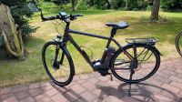 Victoria e-Spezial 10.6 E-Bike Sachsen-Anhalt - Salzwedel Vorschau