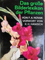 Das große Bilderlexikon der Pflanzen Baden-Württemberg - Waiblingen Vorschau