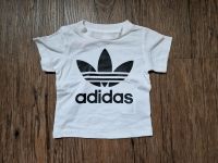 Adidas Baby Tshirt neuwertig Gr. 74 Berlin - Wilmersdorf Vorschau