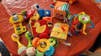 Babyspielzeug Sachsen-Anhalt - Magdeburg Vorschau