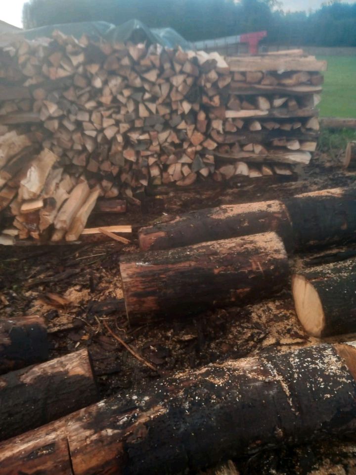 Kaminholz Brennholz 1m Scheite Feuerholz Holzvergaser in Radevormwald