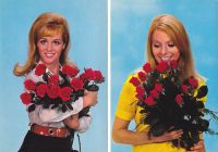 2 Vintage Krüger Postkarten, Junge Frauen mit Rosen, 60er/70er J. Hamburg - Harburg Vorschau