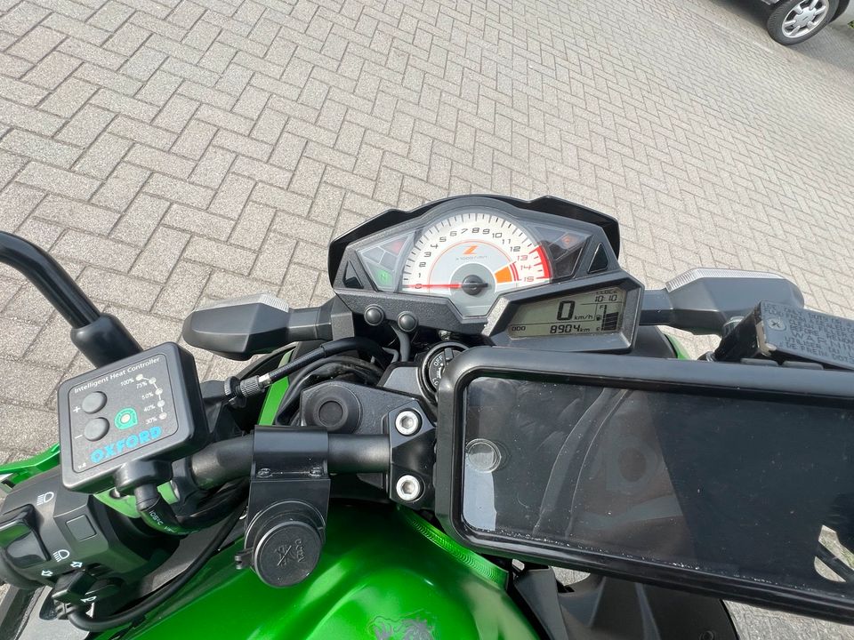 Kawasaki Z 300 ABS in Wildau