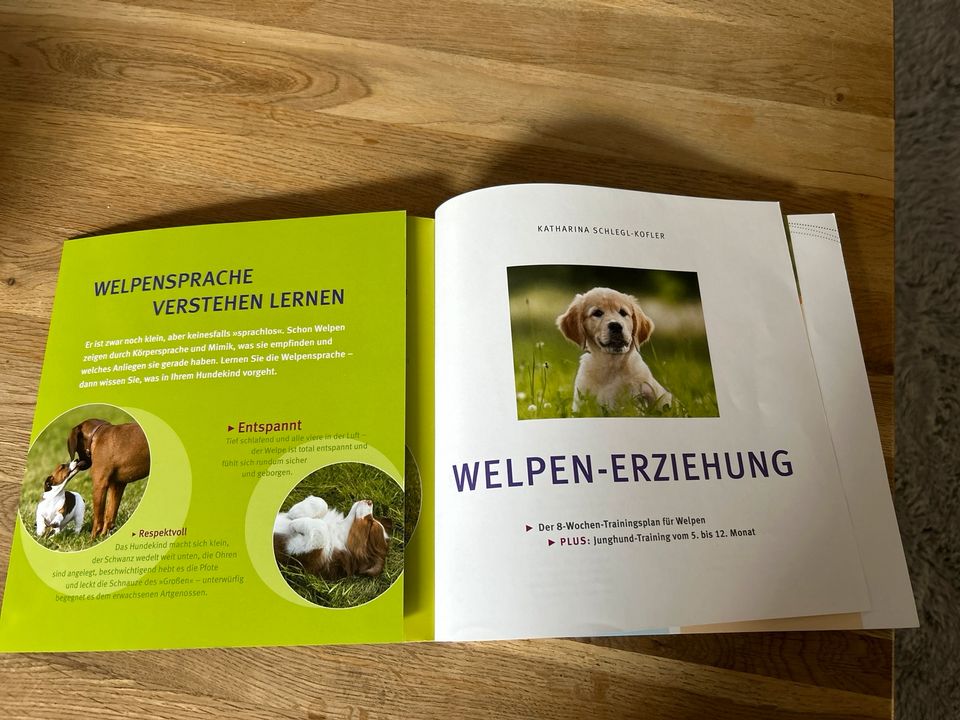 Welpen Erziehung GU Buch in Hannover