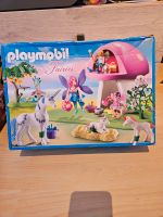 Playmobil Fairies 6055 Nordrhein-Westfalen - Lügde Vorschau