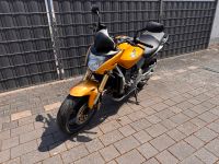 Honda CB600F Hornet PC41 Rheinland-Pfalz - Langsur Vorschau