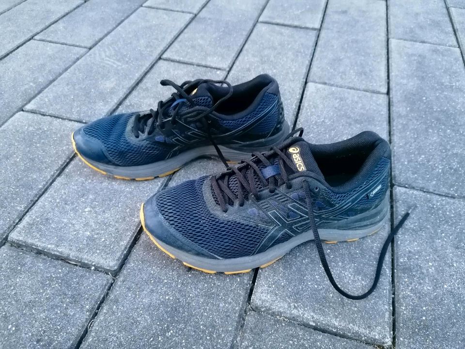 Asics Jogging-Schuhe Goretex GTX Gr. 43,5 Running blau in Achstetten