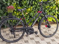 Pegasus Solero Disc 28" Damen Trekkingrad mit Scheibenbremse RH50 Bayern - Ingolstadt Vorschau