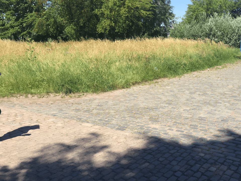 Baugrundstück Nähe Luxemburger Strasse in Hürth in Hürth