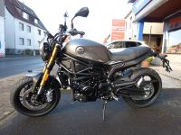 Benelli Leoncino 800 Hessen - Schöneck Vorschau