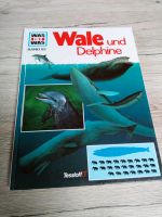 Was ist was Band 85 Wale und Delphine Nordrhein-Westfalen - Geldern Vorschau