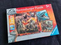 Jurassic World Puzzle Ravensburger 3x49 Teile ab 5 Jahre / Dinos Brandenburg - Potsdam Vorschau