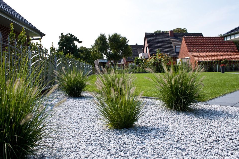 Bagger Arbeit Hecke Baum schneiden Garten Service Zaun Bau in Wetzlar